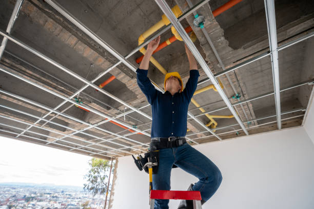 Best Plumbing Inspection Services  in Ocklawaha, FL