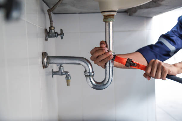 Best Local Plumber Services  in Ocklawaha, FL